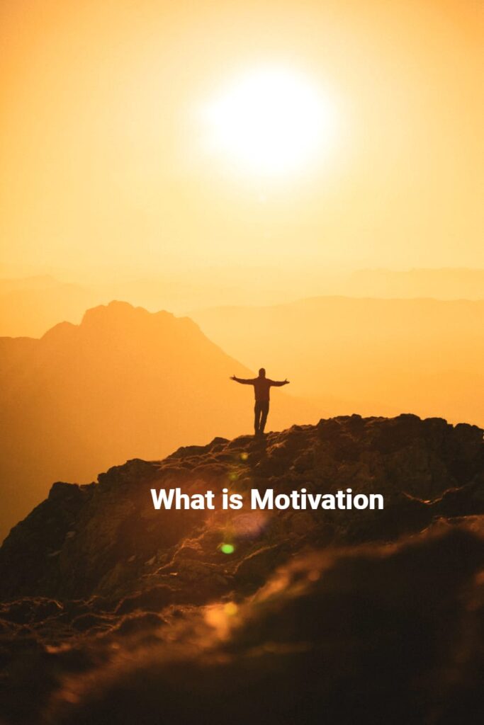 What is Motivation